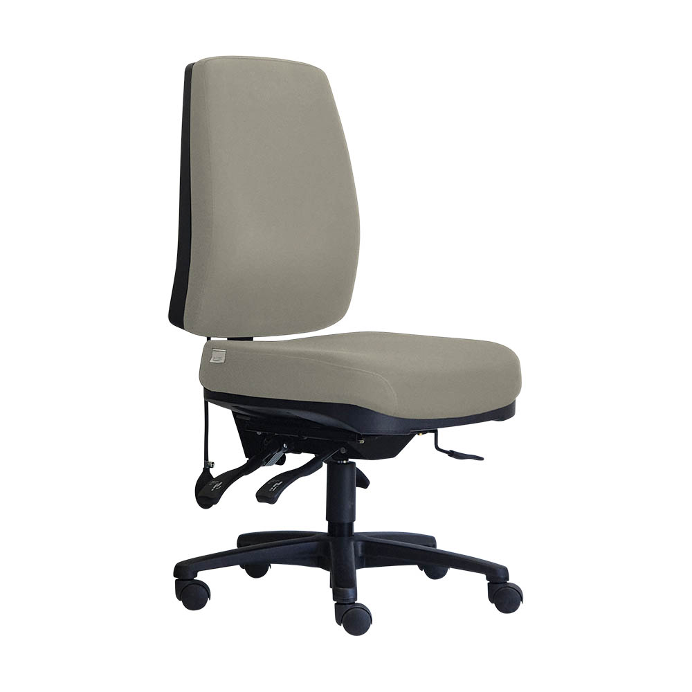 DAL BPLUS HIGH BACK CHAIR LARGE GELTEQ G2SEAT NO ARMS WARWICK GRAVITY DRIFTWOOD